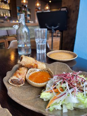 Best springrolls ever  at Chay Vegan in Helsingborg