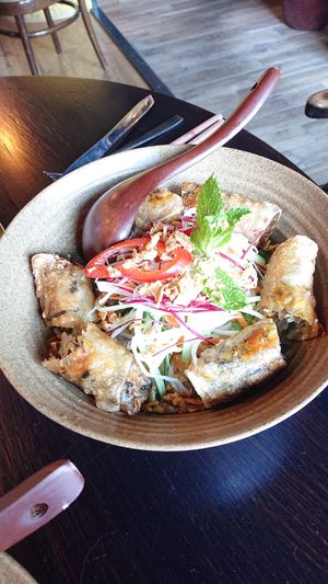 Spring rolls at Chay Vegan in Helsingborg