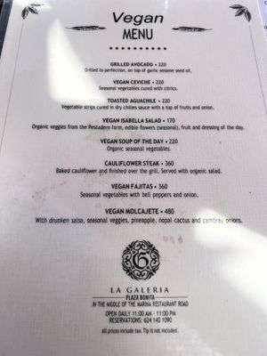   at La Galeria in Cabo San Lucas