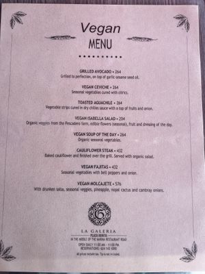   at La Galeria in Cabo San Lucas