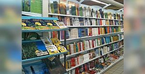 books at Brin d'Avoine in Quimper