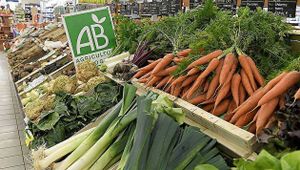 organic vegetables at Brin d'Avoine in Quimper