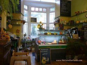 Grassroots Cafe at Grassroots Cafe in Ilfracombe