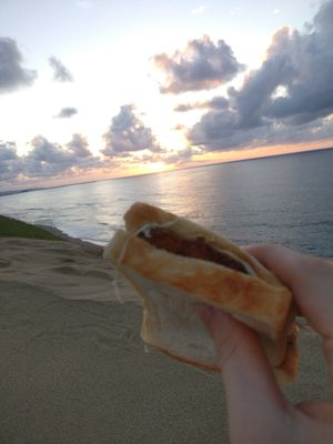 A not-so-photogenic-anymore sandwich after I squished it in transport at Oribio in Tottori