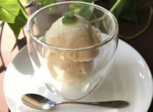 Rice-milk Ice Cream at Oribio in Tottori