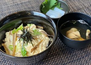 Yuba Bowl Meal　￥1,877～2,013 
Yuba Bowl 　￥1,496～1,633 
An luxurious bowl of fresh Mitakyu brand Yuba made of 100% domestic whole soy in Kyoto, exclusively created for OR at Oribio in Tottori