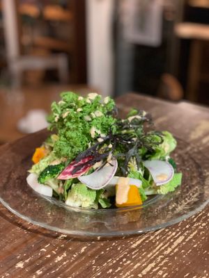Farmer’s garden green salad with vegan dressing at Rosy in Tokyo