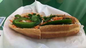  at Thanh Tinh Chay in San Diego