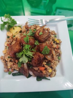 #152 Helen Special fried rice with peikan duck at Thanh Tinh Chay in San Diego