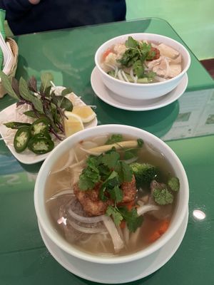 Pho Tofu and Pho Bo  at Thanh Tinh Chay in San Diego