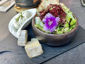 Choice of vegan cheeses   at Utopia in Nice