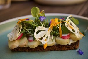Plant-based summer food - Potato with fried onions, herb mayo & chives
  at ubat veggie in Aalborg