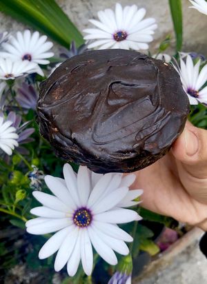 Alfajor  at Puro Amor in Mexico City