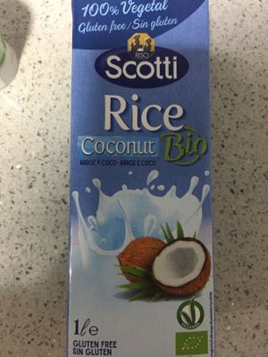 Rice and coconut milk  at Veganizan in Valencia