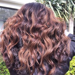 Rich Toffee + Chocolate Clean Color
Curly Haircut Specialist at Verte Salon & Scalp Spa in San Diego