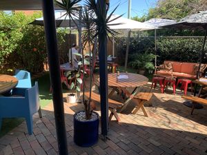 Courtyard at Paper Moon in Annerley