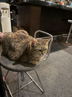   at Shimabukuro in Naha