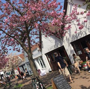 Garden City Brewery microbrewery and bar with vegan restaurant Vutie Beets two doors down  at Garden City Brewery in Letchworth