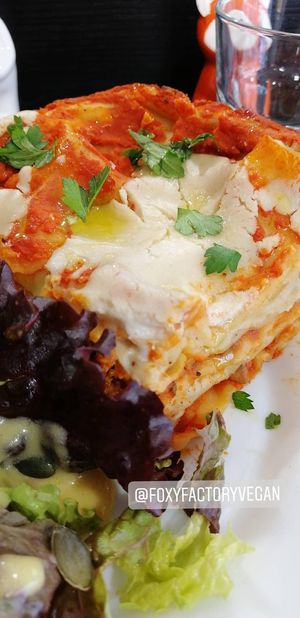 Vegan lasagna at Foxy Factory in Villefranche-sur-saone