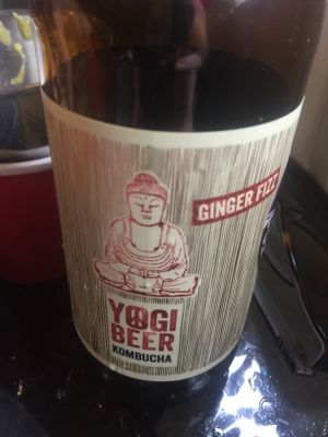 Kombucha  at Mad Hatterz in Yungaburra