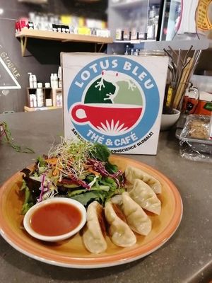 Dumplings at Lotus Bleu Cafe in Edmundston