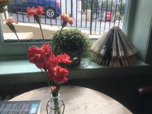 Arty round hill made from books at The Roundhill in Brighton