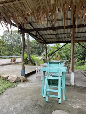 Seating  at Ying Ying's Kitchen in Koh Phangan