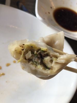 D7 Steamed vegetable dumplings   at Unit Su Vege in Philadelphia