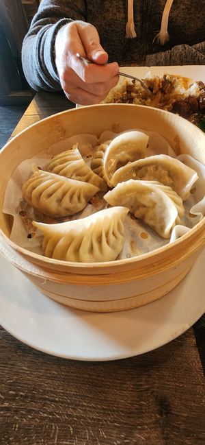 Steamed veggie dumplings at Unit Su Vege in Philadelphia