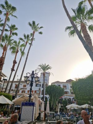 Lovely square with loads of restaurants. Great atmosphere at The Hen's Teeth in Alicante