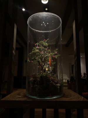   at Feel Seoul Good in Berlin