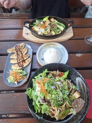 Mixed ‘meat’ udon, gyoza, and tofu ginger/garlic with rice   at Feel Seoul Good in Berlin