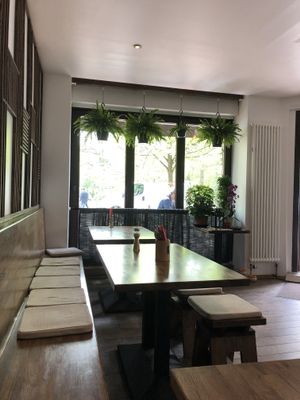 Empty at Feel Seoul Good in Berlin