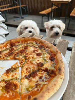 Pizza with my furry friends at Happiz - Monge in Paris