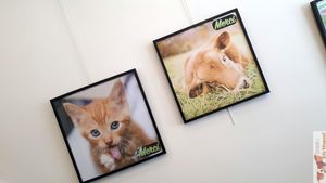 Deco at Happiz - Monge in Paris