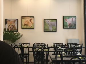 Decor at Happiz - Monge in Paris