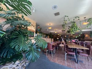   at Dharma's in Capitola