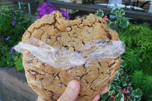 A giant chocolate chip cookie 😋 at Dharma's in Capitola