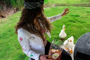 Vegan snacks for everyone at Mr. Tofu - Avelo Market in Puebla