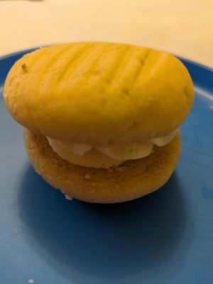  at Spider on a Bicycle in Aboyne