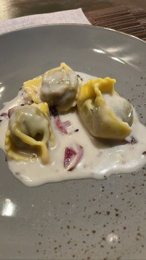   at GingerGi in Padua