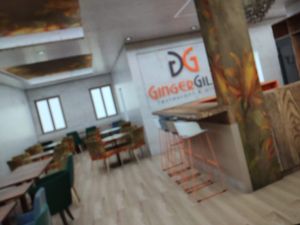 Bar at GingerGi in Padua