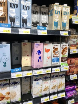 Loads of plant-based milks to pick from  at Jay's Budgens in South East London