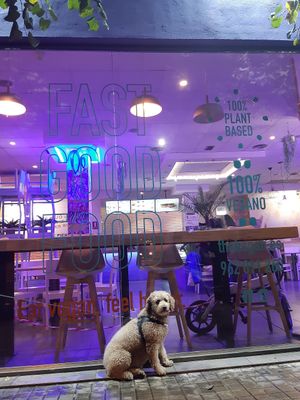 Comida riquísima, gran fallo que en un vegano no dejen pasar mascotas. at The Began in Valencia
