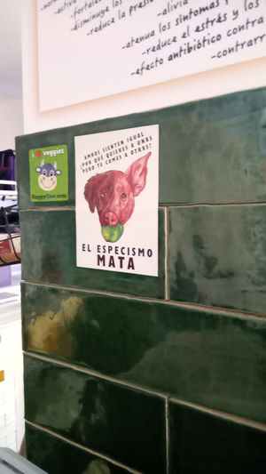  at The Began in Valencia