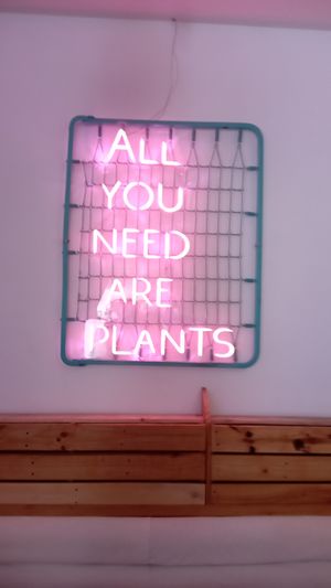  at The Began in Valencia