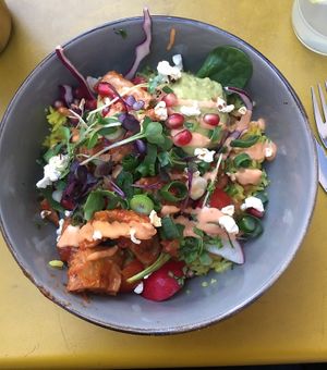 california bowl  at Plain in Vienna