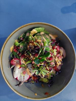 California bowl at Plain in Vienna