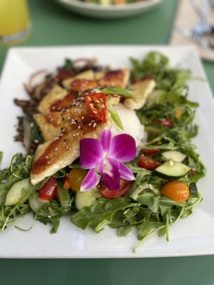 😋😋😋🔥  at Seedz Cafe in Steamboat Springs