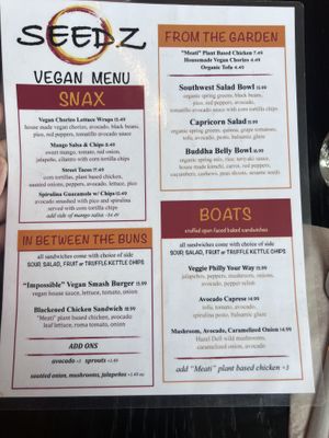 Vegan lunch menu   at Seedz Cafe in Steamboat Springs